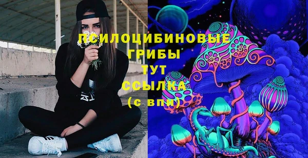 спайс Богданович
