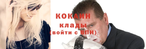 спайс Богданович