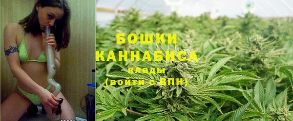 стафф Богородск