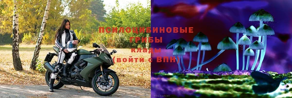 стаф Белоозёрский