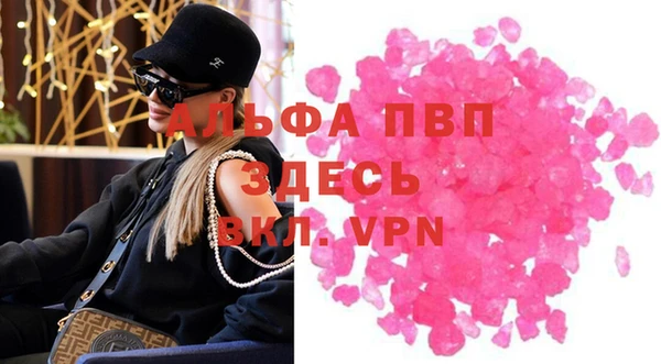 спайс Богданович