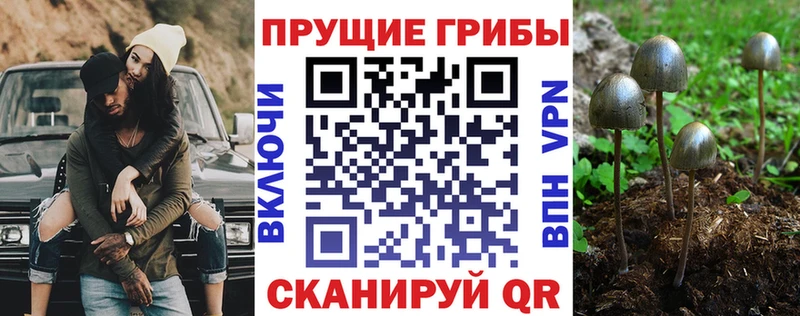 Галлюциногенные грибы MAGIC MUSHROOMS Когалым