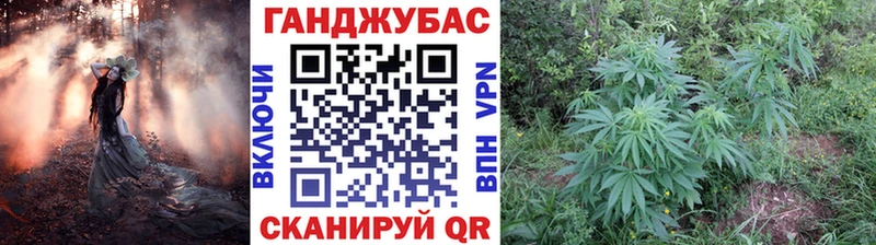 как найти закладки  Когалым  Конопля MAZAR 